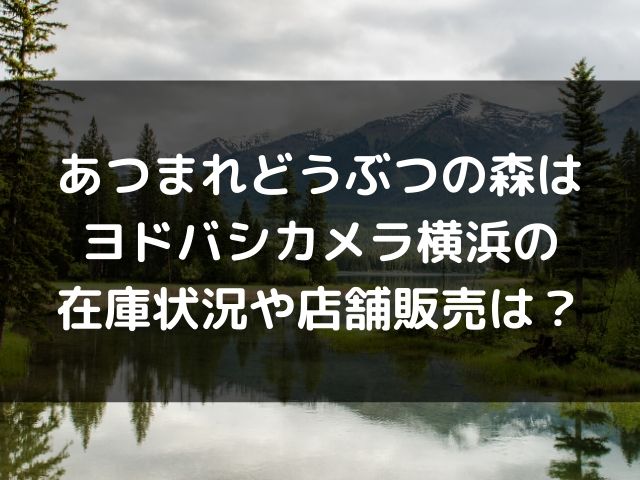 あつまれどうぶつの森はヨドバシカメラ横浜の在庫状況や店舗販売は Geinou Blog あつまれどうぶつの森はヨドバシカメラ横浜の在庫状況や店舗販売は Geinou Blog