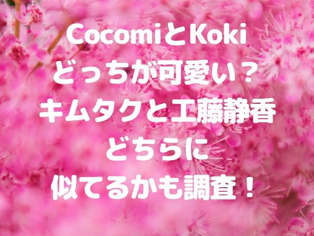 Cocomiとkokiどっちが可愛い キムタクと工藤静香どちらに似てるかも調査 Geinou Blog