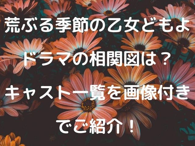 荒ぶる季節の乙女どもよドラマの相関図は キャスト一覧を画像付きでご紹介 Geinou Blog