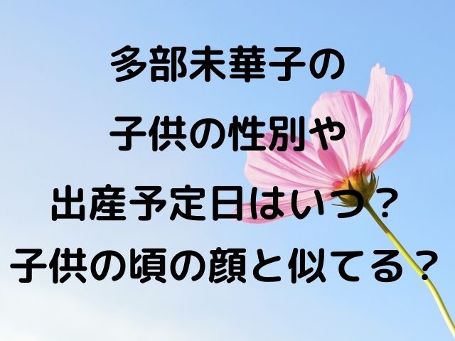 多部未華子の子供の性別や出産予定日はいつ 子供の頃の顔と似てる Geinou Blog