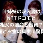 叶姉妹の収入源や資産について