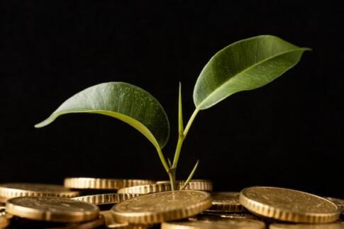 【仮想通貨】 草コインとは？買い方やメリット・デメリットを解説