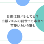 日南は顔バレしてる?白銀ノエルの前世って本当?可愛いという噂も
