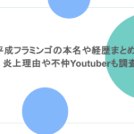 平成フラミンゴの本名や経歴まとめ！炎上理由や不仲Youtuberも調査